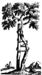 Orthopedics Tree Emblem